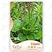 Garden Chinese semi di cavolo verdure, 10g / sacchetto del bambino cibo home & garden Semi di piante nuovo 2024