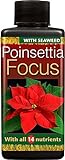 foto Growth Technology Poinsettia Focus concentrato Plant Food 100 ml, miglior prezzo EUR 14,54, bestseller 2024