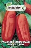 foto SeedsSelect Semi Pomodoro San Marzano Gigante (2 bustine), miglior prezzo EUR 2,00, bestseller 2024