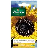 foto Vilmorin - Bustina semi Sole girasole fiore gigante, miglior prezzo EUR 1,90, bestseller 2024