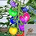 BigFamily 100Pcs Semi di pomodoro arcobaleno Semi di verdure bonsai colorati Home Garden Decor nuovo 2024