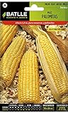 foto Battle - Semi Aromatici Mais per Pop Corn (Semi - 180Cm), miglior prezzo EUR 5,32, bestseller 2024