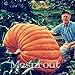 20Pcs Super grandi semi di zucca vegetali non OGM giardino di casa fai da te bonsai dono di semi di zucca gigante commestibile per gli impianti di divertimento di Halloween nuovo 2024