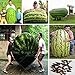 30 / bag semi gigante anguria, sapore dolce verdure e semi di frutta molto giganti deliziosa nuovo 2024