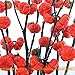 Pinkdose Rare russi semi di zucca melanzane, 100 semi/pacchetto, semi di Heirloom Solanum ornamentali melanzane nuovo 2024
