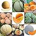 Portal Cool 11: 20 Pz/borsa Semi di melone Delicious Melone Seeds Home Garden Plants Btl8 nuovo 2024