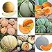 Portal Cool 07: 20 Pz/borsa Semi di melone Delicious Melone Seeds Home Garden Plants Rlwh 02 nuovo 2024
