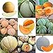 Portal Cool 11: 20Pcs / Bag Semi di melone Delicious Melone Seeds Home Garden Plants Fruit Rr6 01 nuovo 2024