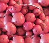 Photo Seed Potatoes for Planting Red Norland Seed Potatoes 10 lbs., best price $39.97 ($0.50 / Ounce), bestseller 2024