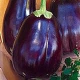 Photo Eggplant Black Beauty Great Heirloom Vegetable 1,300 Seeds, best price $3.95, bestseller 2024