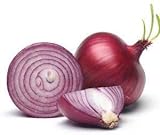 Photo Red Shortday Burgundy Onion Seeds, 300 Heirloom Seeds Per Packet, Non GMO Seeds, Botanical Name: Allium cepa, Isla's Garden Seeds, best price $5.99 ($0.02 / Count), bestseller 2024