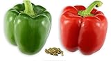 Photo RDR Seeds 100 California Wonder Sweet Pepper Seeds for Planting - Heirloom Non-GMO Pepper Seeds for Planting - Bell Pepper Matures from Green to Red, best price $5.99 ($0.06 / Count), bestseller 2024