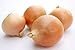 Riverside Sweet Spanish Onion Seeds, 300 Heirloom Seeds Per Packet, Non GMO Seeds new 2024
