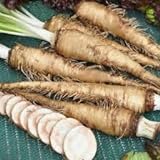 Foto Genipap 20 Semillas de hortalizas de rábano picante ruso Blanco., mejor precio 14,99 €, éxito de ventas 2024