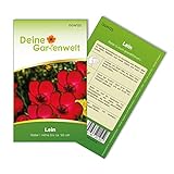 Foto Lein rot Samen - Linum grandiflorum - Leinsamen - Blumensamen - Saatgut für 70 Pflanzen, bester Preis 1,99 € (0,03 € / stück), Bestseller 2024