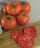 Photo Burpee 'Super Beefsteak' | Red Beefsteak Slicing Tomato | 175 Seeds, best price $6.62, bestseller 2024