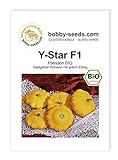 Foto Y-Star F1 BIO Kürbissamen von Bobby-Seeds Portion, bester Preis 2,95 €, Bestseller 2024