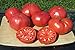 Ohio Heirloom Seeds Beefsteak Tomato Seeds 75+ Heirloom Variety Grown in 2020 new 2024