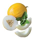 Photo Burpee Twice As Nice Hybrid (Fonzy) Melon Seeds 15 seeds, best price $7.28, bestseller 2024