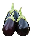 Photo Burpee Early Midnight Eggplant Seeds 35 seeds, best price $8.58 ($0.25 / Count), bestseller 2024