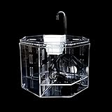 Foto JJWC Desktop-Aquarium-Acryl-Isolationsbox-Fischbehälter-Zieraquarium-Zuchtkasten Büro-Dekoration, bester Preis 112,15 €, Bestseller 2024