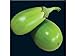25 APPLEGREEN EGGPLANT Green Fruit / Vegetable Solanum Melongena Seeds new 2024