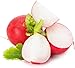 Cherry Belle Radish Seeds | Vegetable Seeds for Planting Outdoor Gardens | Heirloom & Non-GMO | Planting Instructions Included new 2024