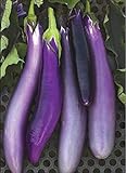 Photo David's Garden Seeds Eggplant Ping Tung Long 7333 (Purple) 50 Non-GMO, Heirloom Seeds, best price $3.95, bestseller 2024