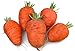 Oxheart Carrot 200 Seeds #8136 Item Upc#650348691721 new 2024