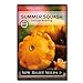 Sow Right Seeds - Yellow Scallop Summer Squash Seed for Planting  - Non-GMO Heirloom Packet with Instructions to Plant a Home Vegetable Garden new 2024