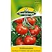 Tomate, Harzfeuer F1 neu 2024