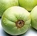 Sweet Melon Seeds (CHK) (Japanese New Mini Honeydew, 30 Seeds) new 2024