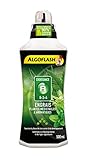 Photo ALGOFLASH Engrais Plantes Médicinales & Aromatiques A Croissance 500 ml, ALITHEA500, meilleur prix 15,55 € (31,10 € / l), best-seller 2024
