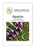 Foto Zwiebelsamen Apache rote Lauchzwiebel Portion, bester Preis 1,75 €, Bestseller 2024
