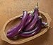 David's Garden Seeds Eggplant Asian Delite (Purple) 25 Non-GMO, Hybrid Seeds new 2024