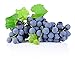 Homegrown Non GMO Grape Seeds, Bulk Seeds, Concord (20) new 2024
