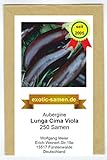 Foto Aubergine - Lunga Cima Viola - alte italienische Regionalsorte - 250 Samen, bester Preis 3,99 €, Bestseller 2024