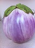 Photo Rosa Bianca Eggplant Seeds- Heirloom- 100+ Seeds, best price $2.99, bestseller 2024