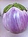 Rosa Bianca Eggplant Seeds- Heirloom- 100+ Seeds new 2024