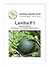 Melonensamen Lantha F1 Wassermelone Portion neu 2024