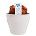 Costa Farms, Premium Live Indoor Desert Gems Orange Cacti, Tabletop Plant, White Gloss Euro Ceramic Decorator Pot, Shipped Fresh From Our Farm, Excellent Gift new 2024