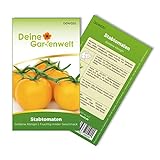 Foto Stabtomaten Goldene Königin Samen - Solanum lycopersicum - Tomatensamen - Gemüsesamen - Saatgut für 20 Pflanzen, bester Preis 1,99 € (0,10 € / stück), Bestseller 2024