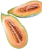 Photo Banana Melon Cucumber Seeds, Exotic and Rare, 120 Heirloom Seeds Per Packet, Non GMO Seeds, Isla's Garden Seeds, best price $6.29 ($0.05 / Count), bestseller 2024