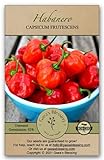 Photo Gaea's Blessing Seeds - Habanero Pepper Seeds (100 Seeds) Non-GMO Seeds with Easy to Follow Planting Instructions - Open-Pollinated Heirloom Hot Pepper Seeds Germination Rate 92% Net Wt. 1.0g, best price $5.99, bestseller 2024