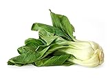 Photo 1000+ Canton Pak Choi Bok Choy Chinese Cabbage Seeds Heirloom Non-GMO Productive, Healthy, Brassica rapa VAR. chinensis, a.k.a. Canton's Choice, Bok Choi, US Grown!, best price $5.59, bestseller 2024
