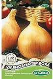 Foto Germisem Valenciana Tempora Semillas de Cebolla 3 g, mejor precio 2,70 €, éxito de ventas 2024