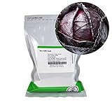 Photo Red Acre Cabbage Seeds: 1 Lb - Non-GMO, Chemical Free Sprouting Seeds for Vegetable Garden & Growing Micro Greens, best price $31.39 ($1.96 / Ounce), bestseller 2024