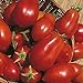 Shop Meeko Tomate - San Marzano - 75 graines nouveau 2024