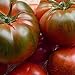 Tomate Muchamiel 25 x Samen aus Portugal 100% natürlich Aufzucht/absolute Rarität/Massenträger (Muchamiel) neu 2024