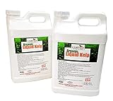 Photo Kelp Fertilizer by GS Plant Foods (5 Gallon) - Organic Liquid Fertilizer for Gardens, Lawns & Soil - Liquid Kelp Concentrate, best price $149.95, bestseller 2024